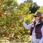 Agri-Tour On A U-Pick Farm