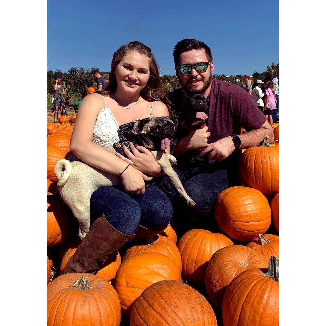 Pumpkin patch with the pups 2019