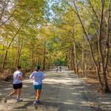 Point Pleasant Park