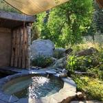 The Springs