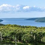 Canandaigua Lake Wine Trail