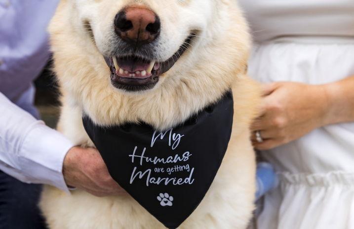 The Wedding Website of Sarah Rager and Cody Burnett