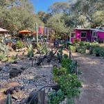 Valle de Guadalupe