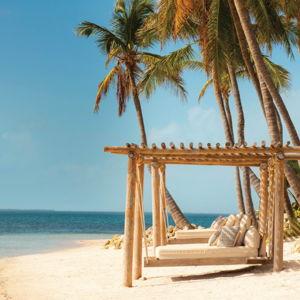 Honeymoon Fund