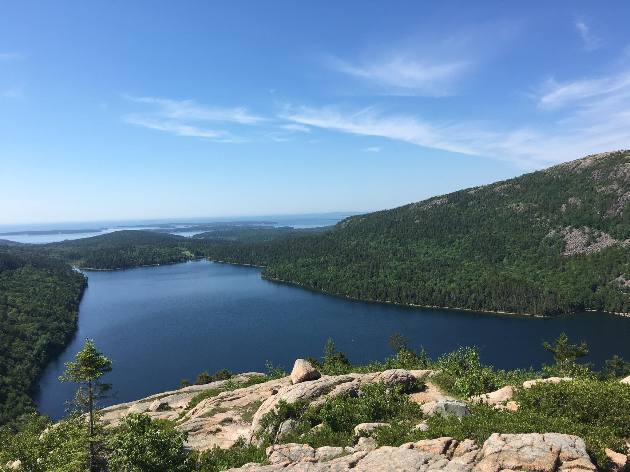 The Wedding Website of Laila Selim and Drew Curhan