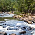 Sweetwater Creek State Park
