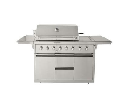 Williams Sonoma 6-Burner Gas Grill