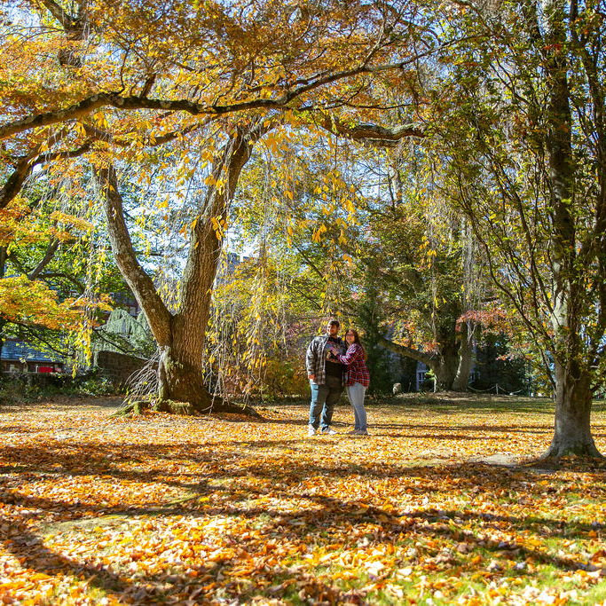 Growing up, Kaitlyn always went to the Botanical Gardens in Ringwood with her grandma and rest of her family. When it came time to choose where to ask her, the answer was obvious.