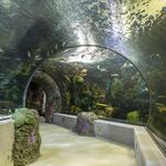 Virginia Aquarium & Marine Science Center