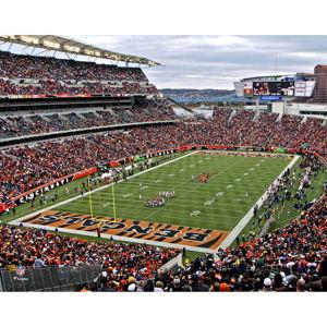 Date Night - Bengal's Game