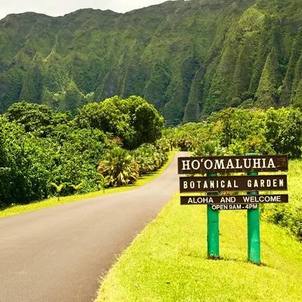 Ho’omaluhia Botanical Gardens — Kaneohe Adventure