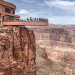 Grand Canyon, Hoover Dam and Joshua Tree Forest Tour