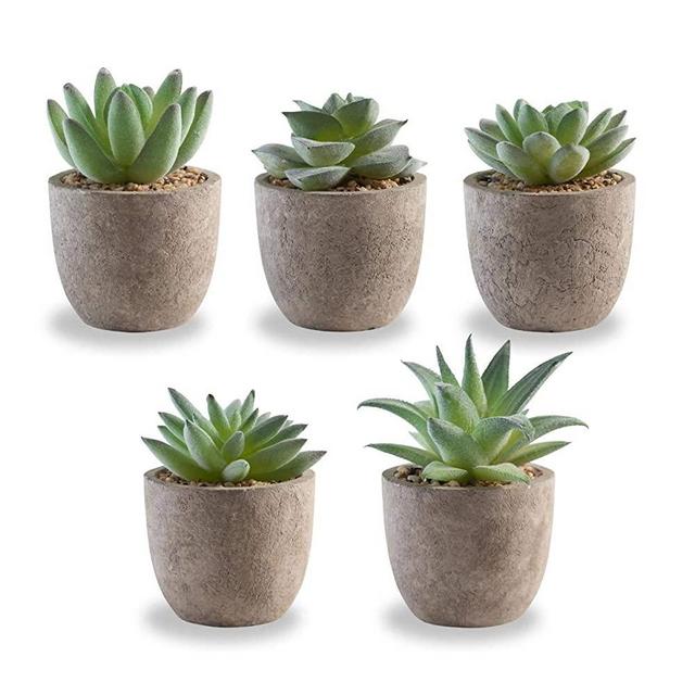 Korvea Set of 5 Artificial Succulent Plants - Mini Assorted Fake Succulents - Small Artificial Plants in Pots for Home Decor Indoor - Fake Plants for Window Sills, Bathrooms, Office Spaces, and More