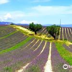 eBike through Provence