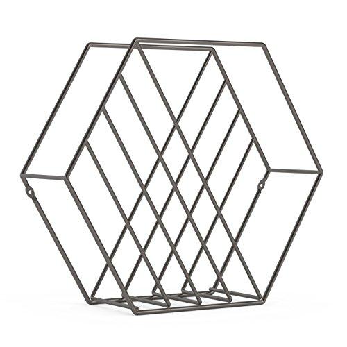 Umbra Zina Magazine Rack & Record Holder, Perfect for Vinyl Record Storage, Stands or Mounts to Wall, Titanium