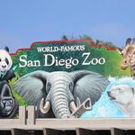 San Diego Zoo