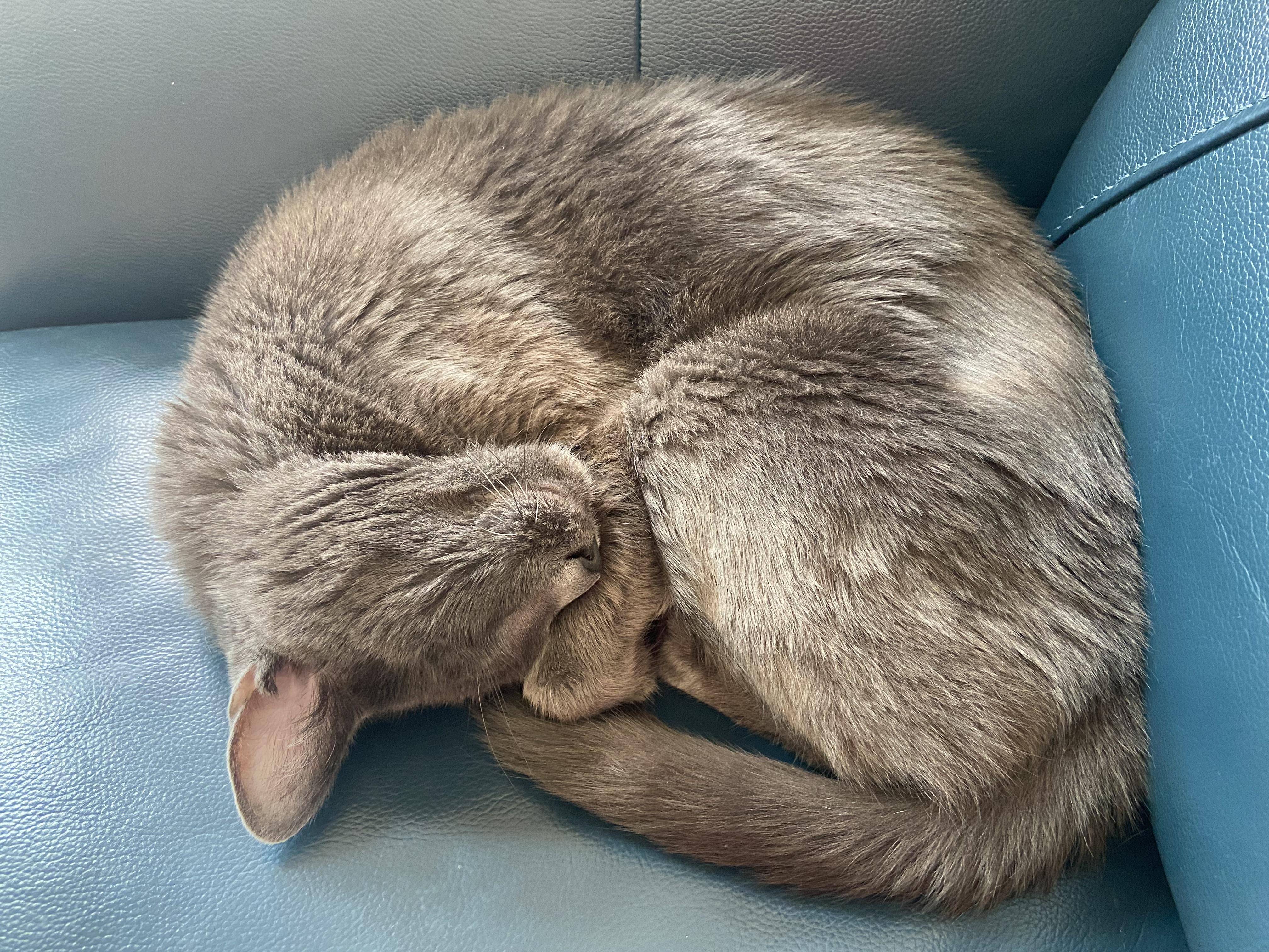 The Wedding Website of Lauren Kerr and Benjamin Saliwanchik