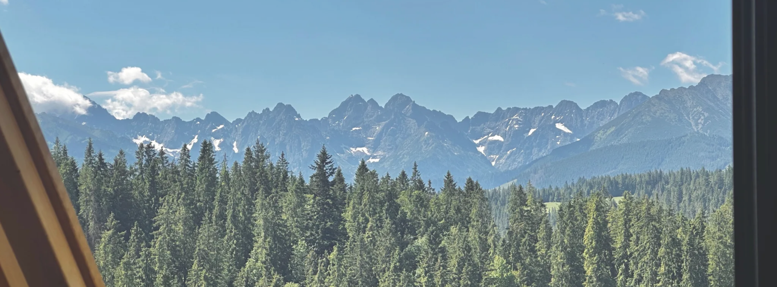 The Wedding Website of Żaneta Szambelan and Omar Suleiman