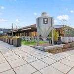 Trophy Brewing & Pizza
