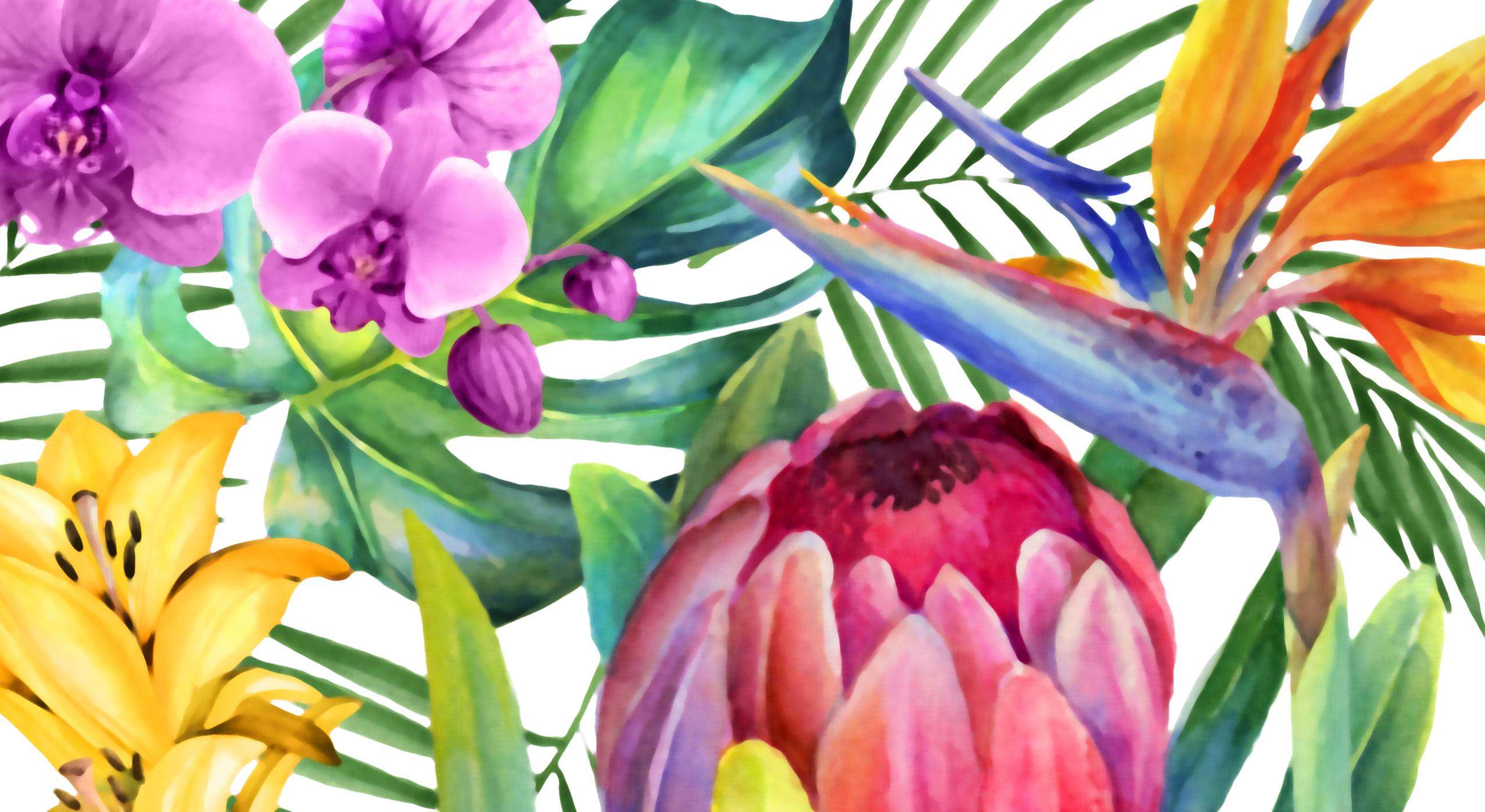 Footer image