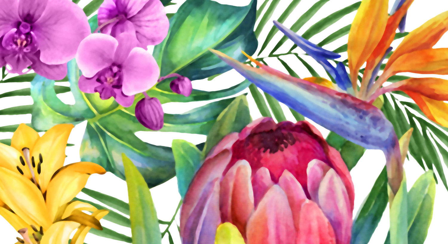 Footer image