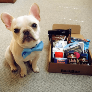 Bark Box: A monthly box of dog goodies.