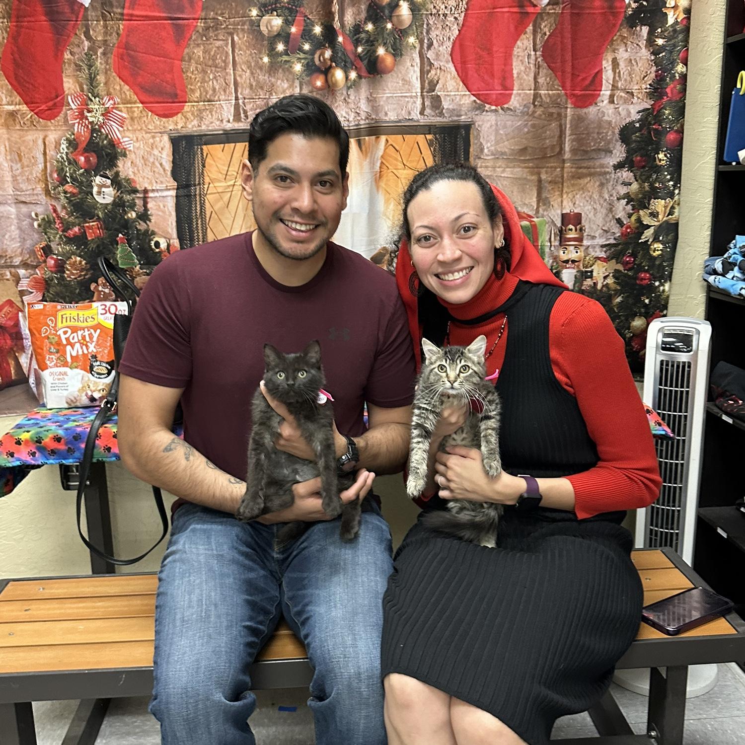 Adopted our fur babies: Phoebe on the left and Marlie on the right.
