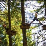 Tree to Tree Adventure Park