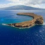 Molokini Crater - Snorkeling / Scuba