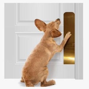 Dog Scratch Door Protection Plate, Shiny Brass, 22 x 6-in