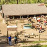 National Park Gateway Stables