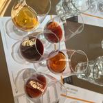 Sassafras Springs Vineyard and Winery