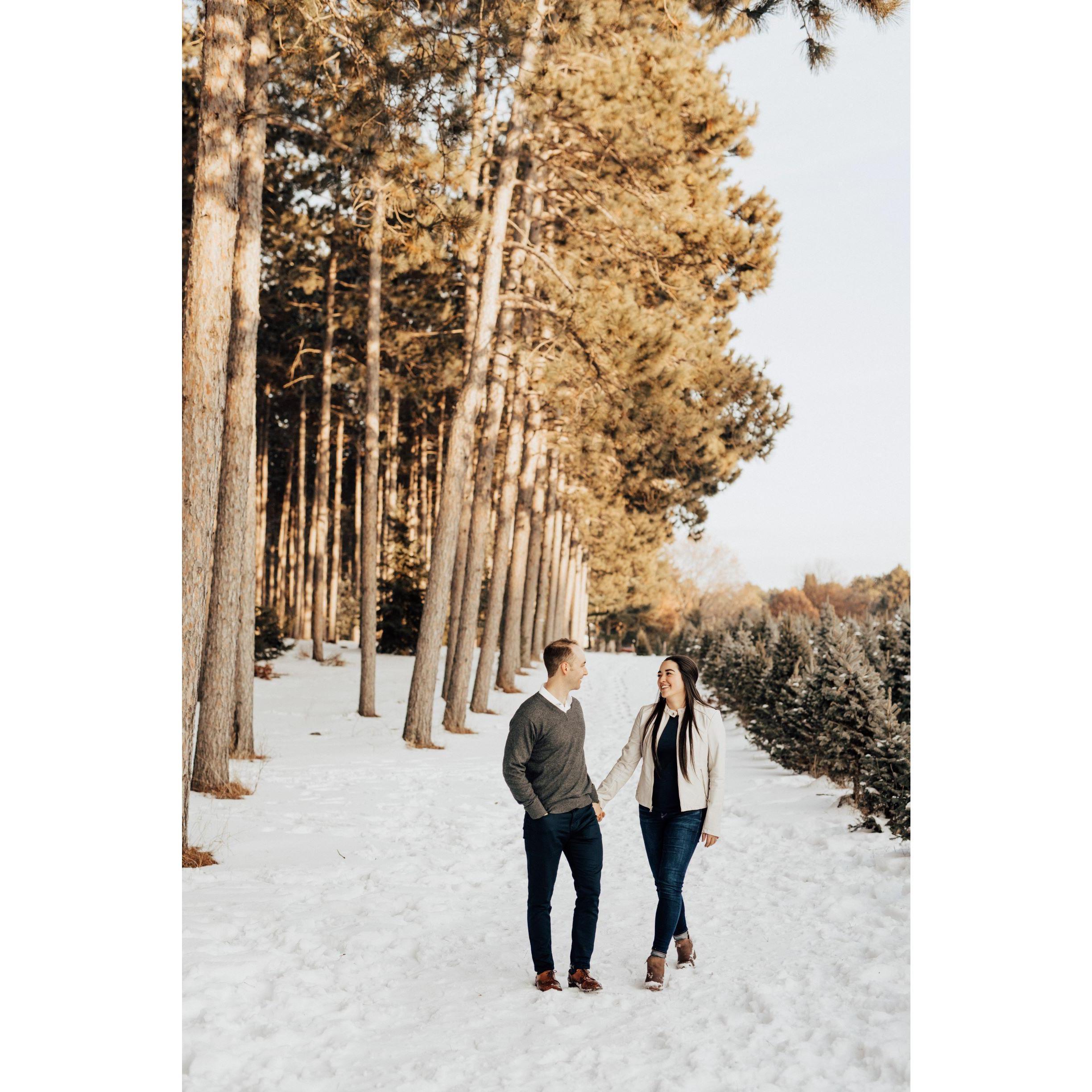 Engagement photos - Hansen Tree Farm (2021)