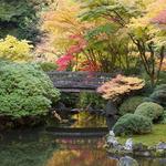 Portland Japanese Garden