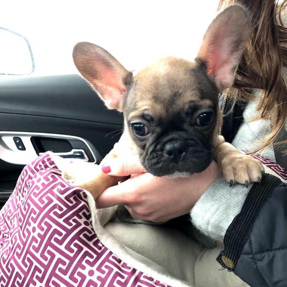 March 29, 2018 - The day we got Wendy!