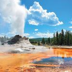 Yellowstone National Park