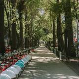La Condesa