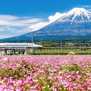 Bullet Train Tickets