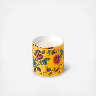 Wonderlust Yellow Tonquin Candle