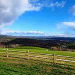 Apex Orchards