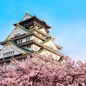 Vuelo interno Tokio a Osaka
