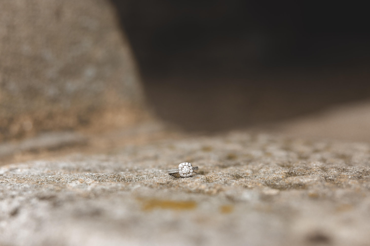 The Wedding Website of Cortney Geiger and Levi Russell