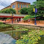 Carroll Creek Park