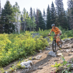 Mountain Biking