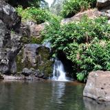 Waipo'o Falls Trail