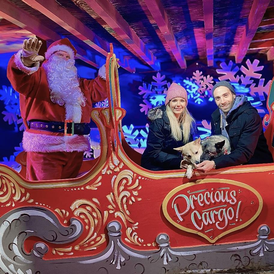 Our first Christmas together, we sure do miss the goodest boy Loki 🐾 ❤️