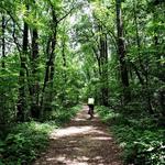 Guild-Hardy Trailhead, Lookout Mountain Trails