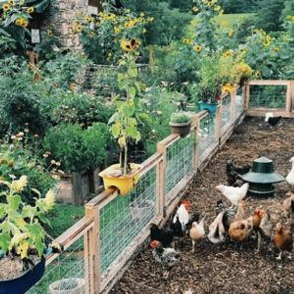 Our future homestead fund