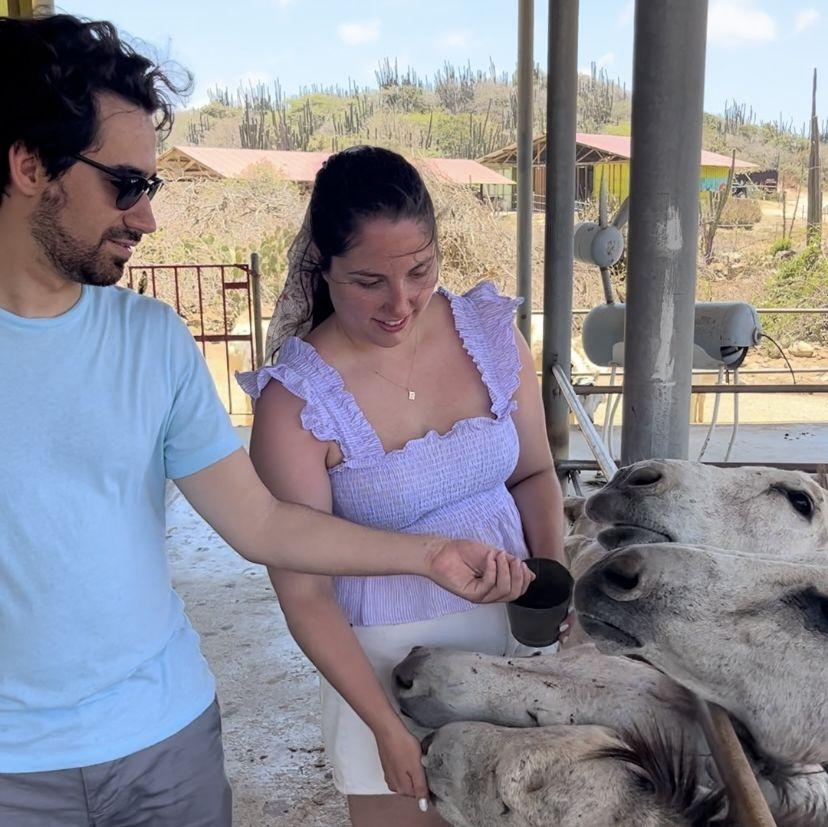 June 2023 — Feeding the locals at a donkey sanctuary in Aruba.