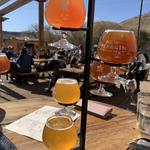 New Terrain Brewing Company